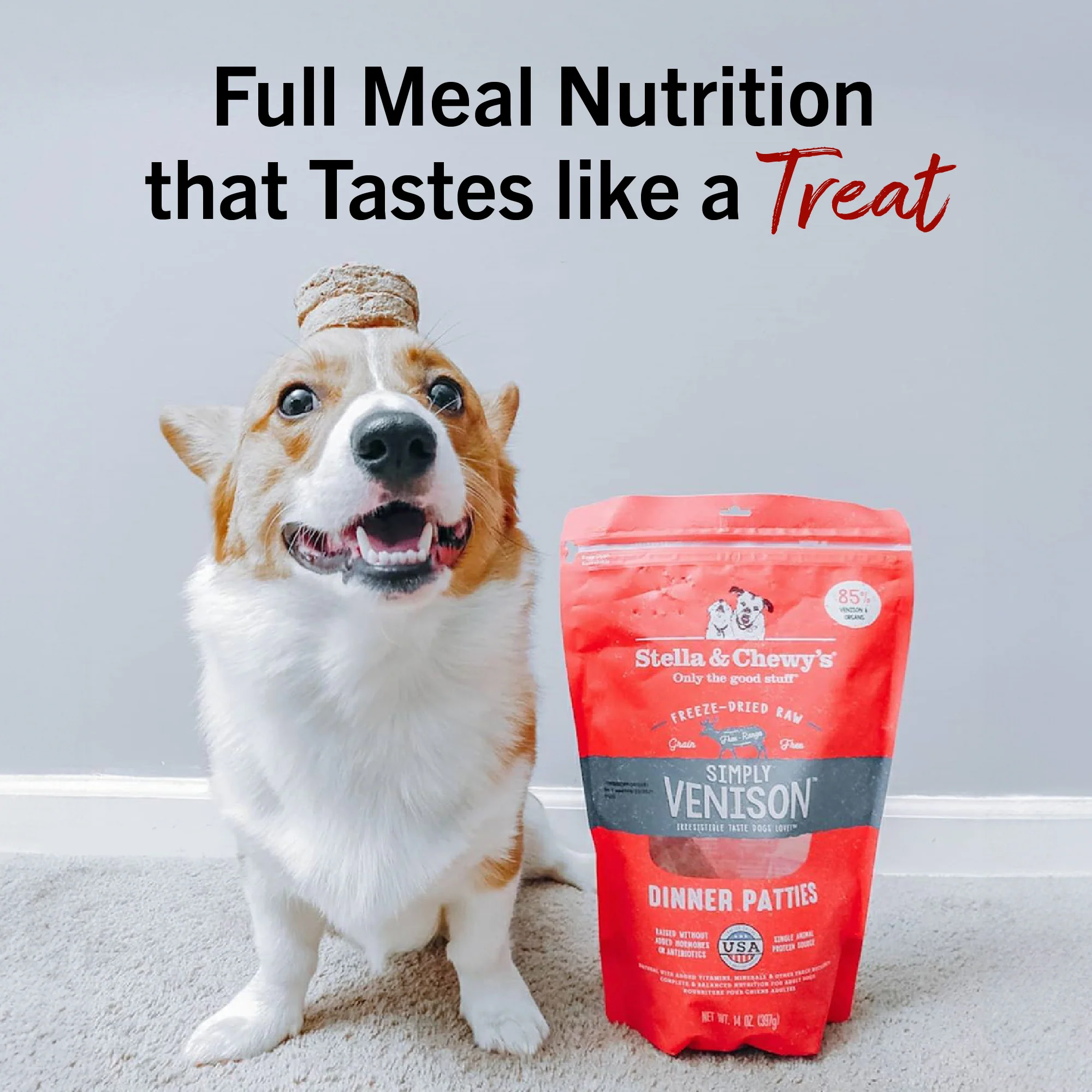 Simply Venison Freeze-Dried Raw Dinner Patties for Dogs - Image 12