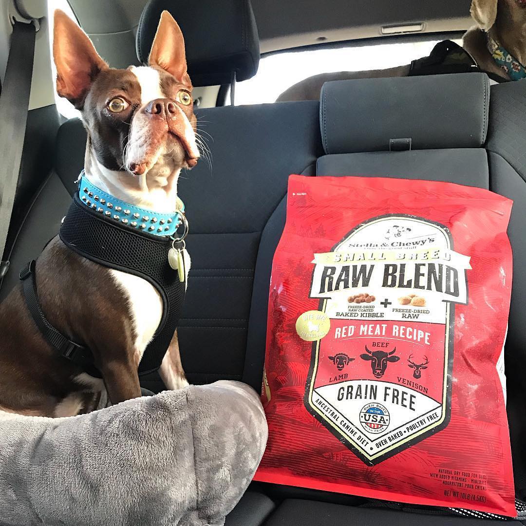Red Meat Raw Blend Kibble for Small Breed Dogs - Image 4