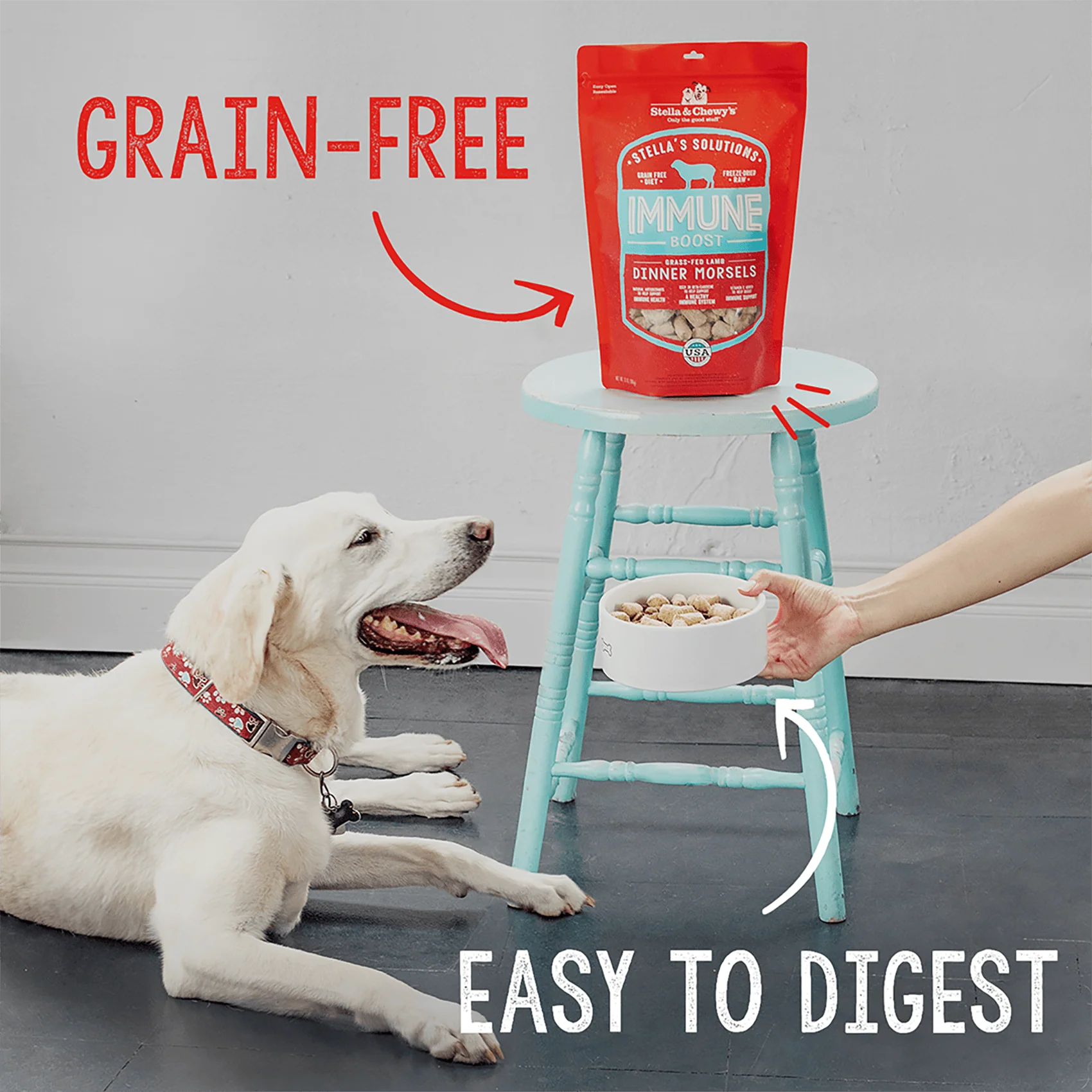 Stella’s Solutions Hip & Joint Support for Dogs - Image 6