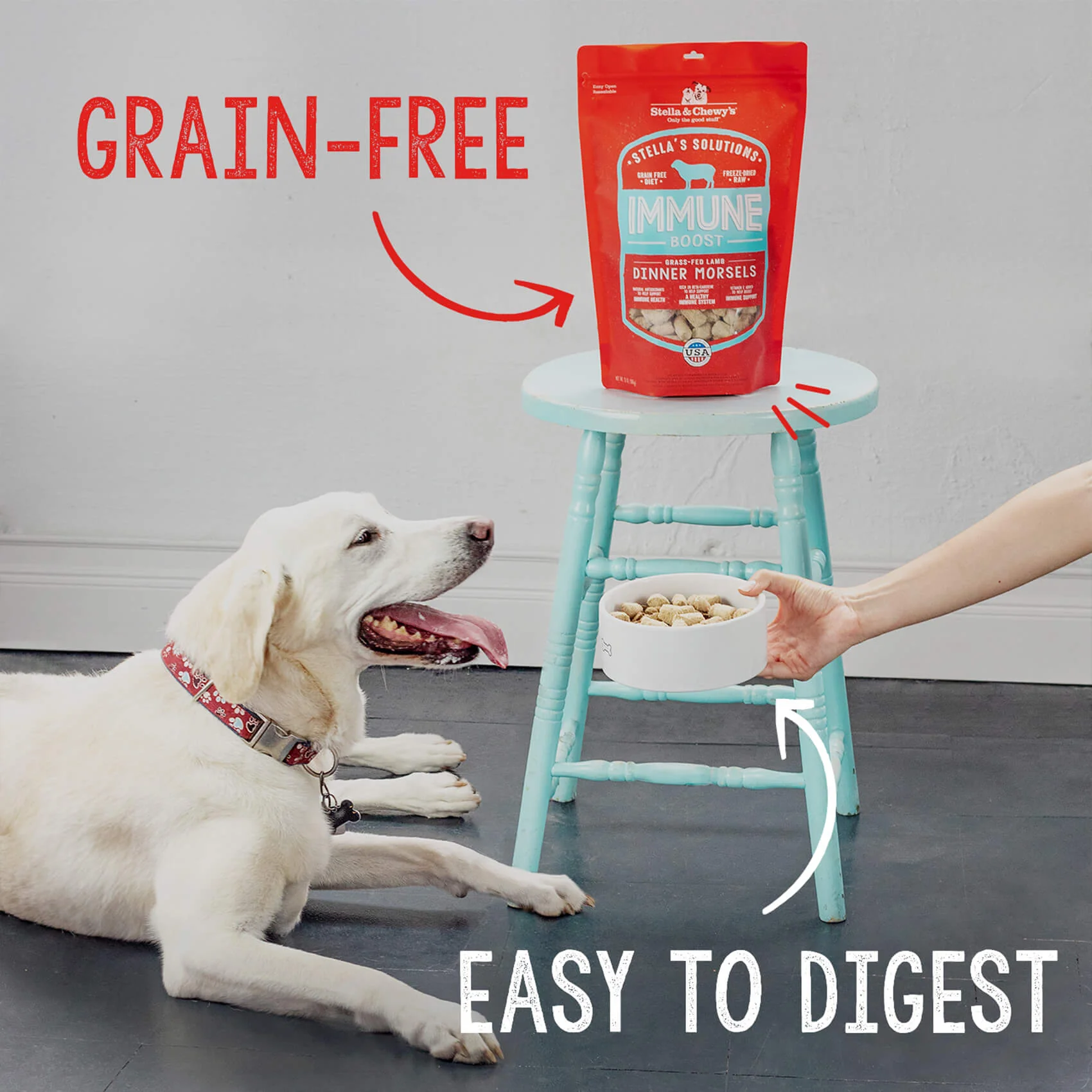 Stella’s Solutions Skin & Coat Support for Dogs - Image 6