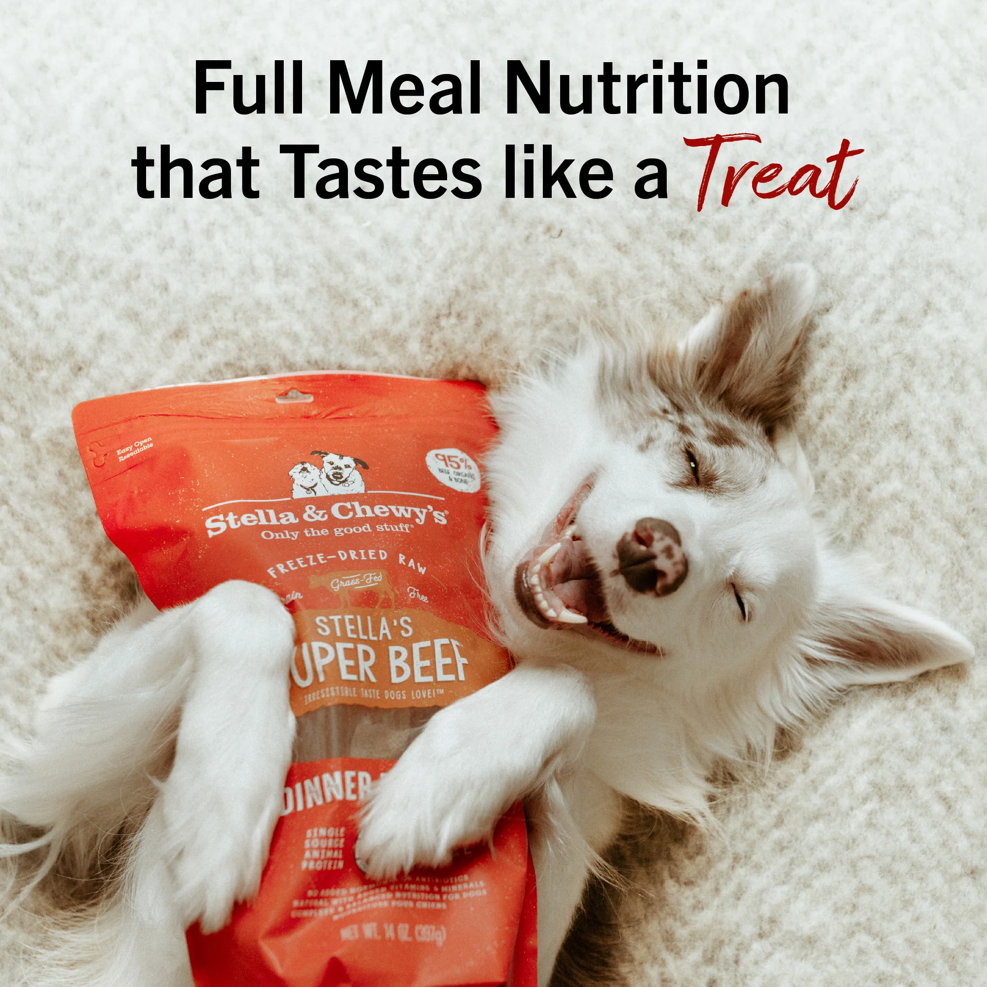 Stella’s Super Beef Freeze-Dried Raw Dinner Patties for Dogs - Image 13