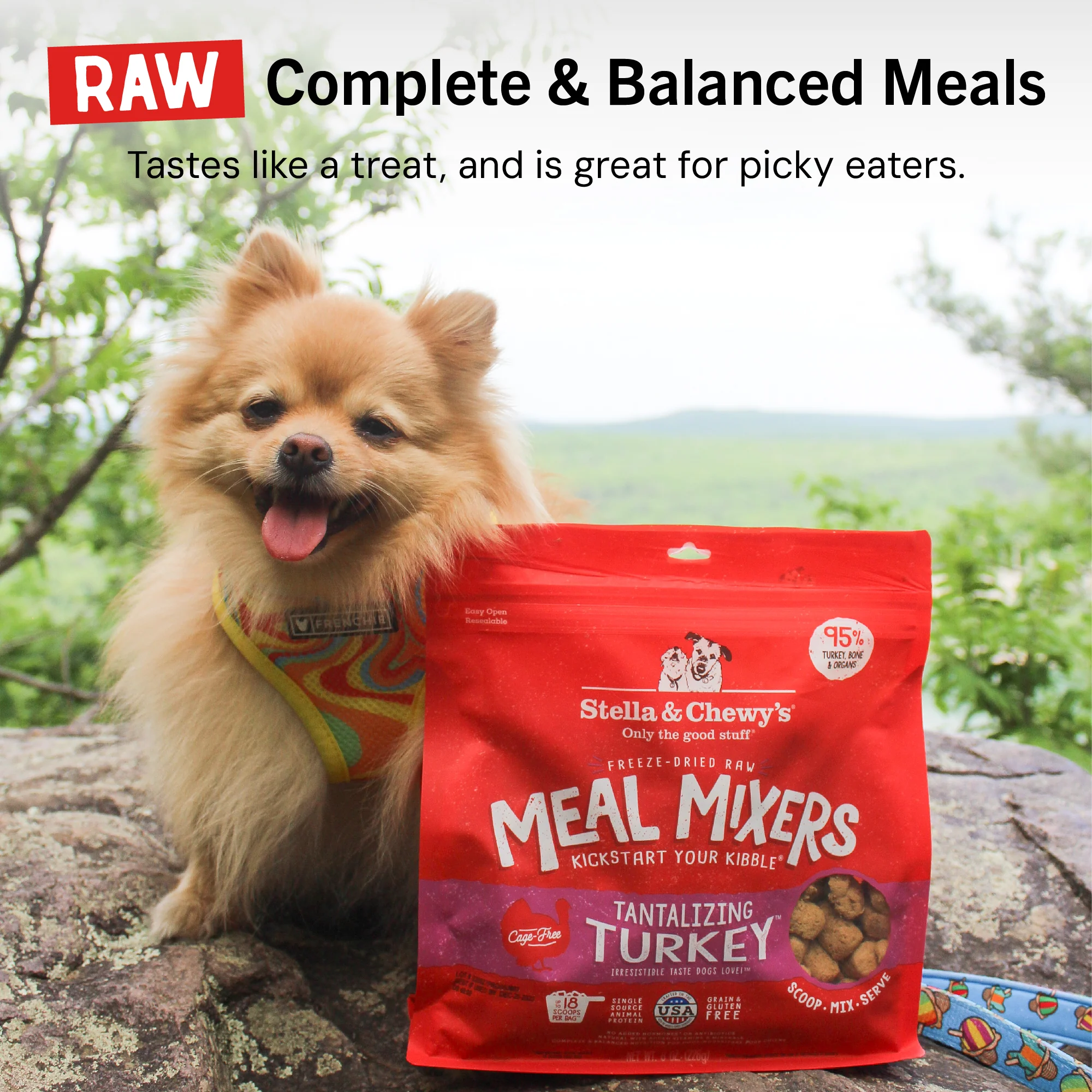 Tantalizing Turkey Meal Mixers for Dogs - Image 14