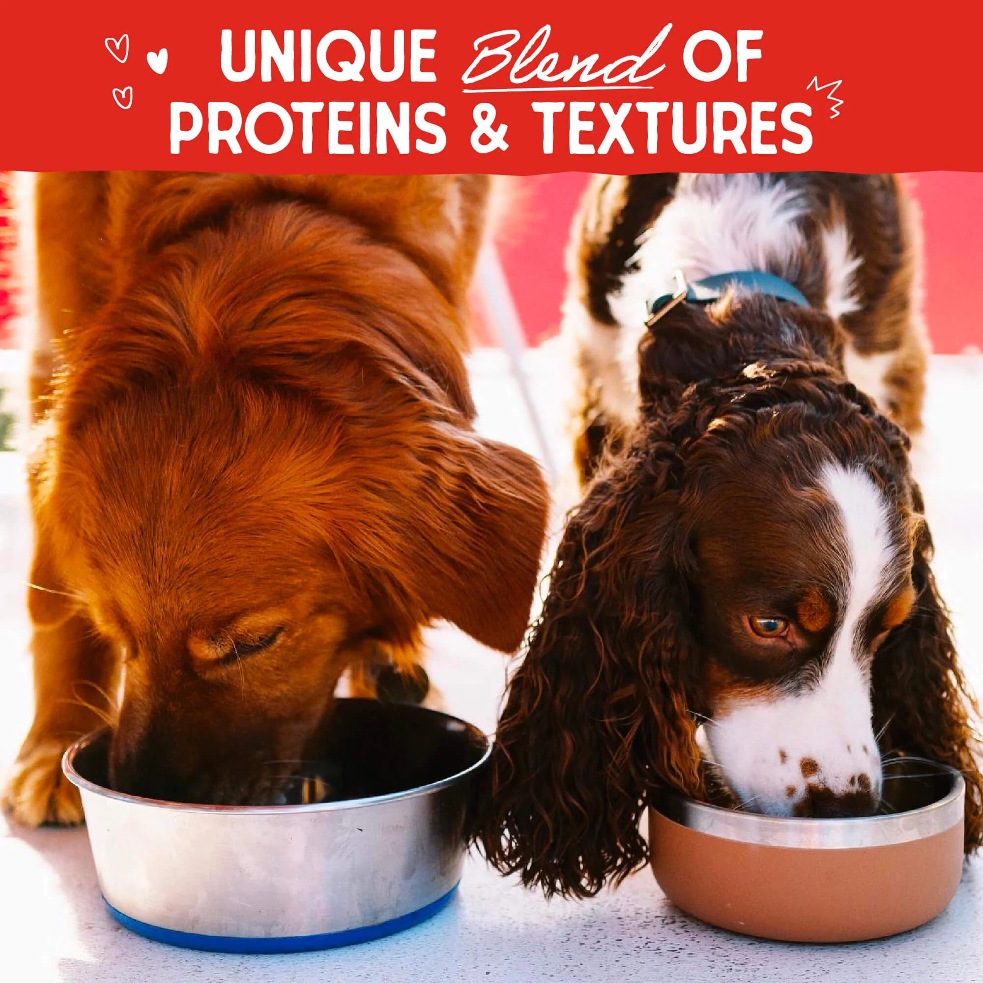 Cage-Free Recipe with Pumpkin & Quinoa Raw Blend Baked Kibble with Grains for Dogs - Image 2