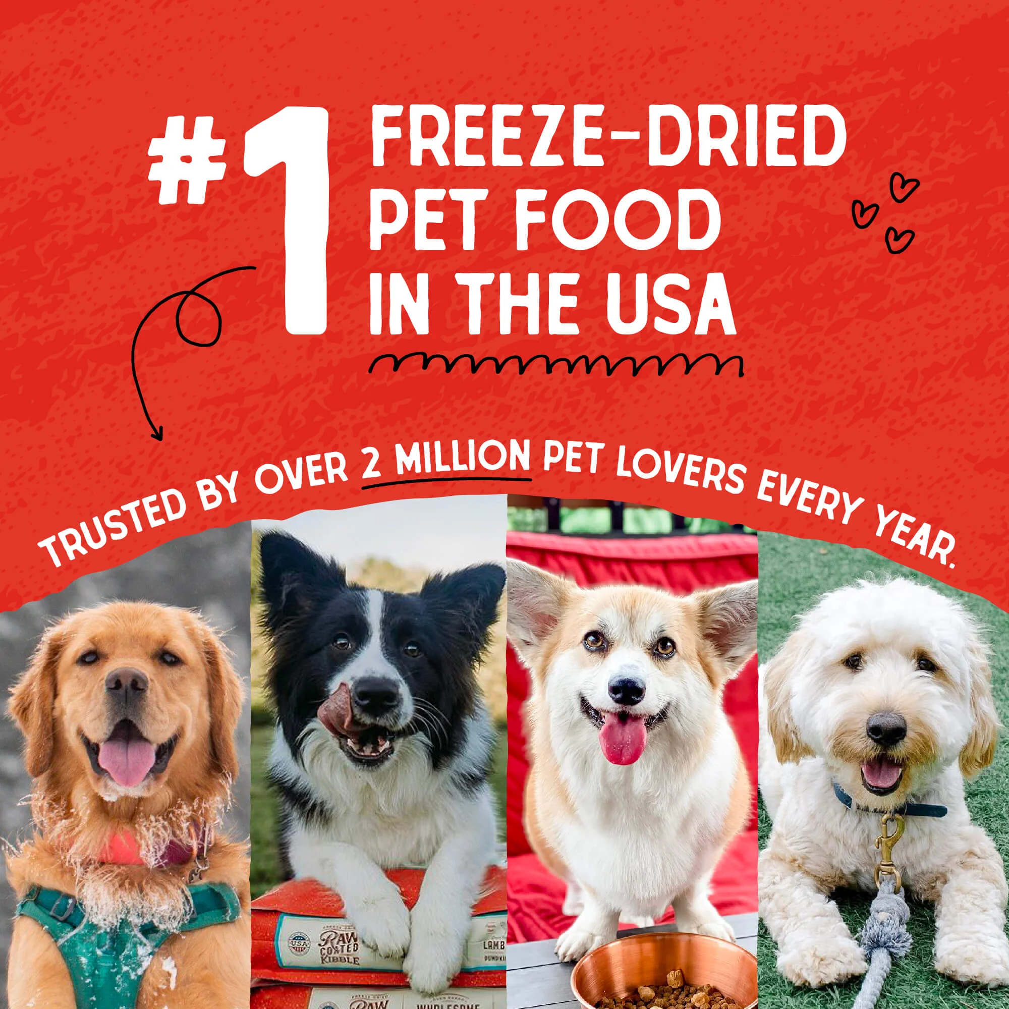 Grass-Fed Beef Raw Coated Kibble for Dogs - Image 3