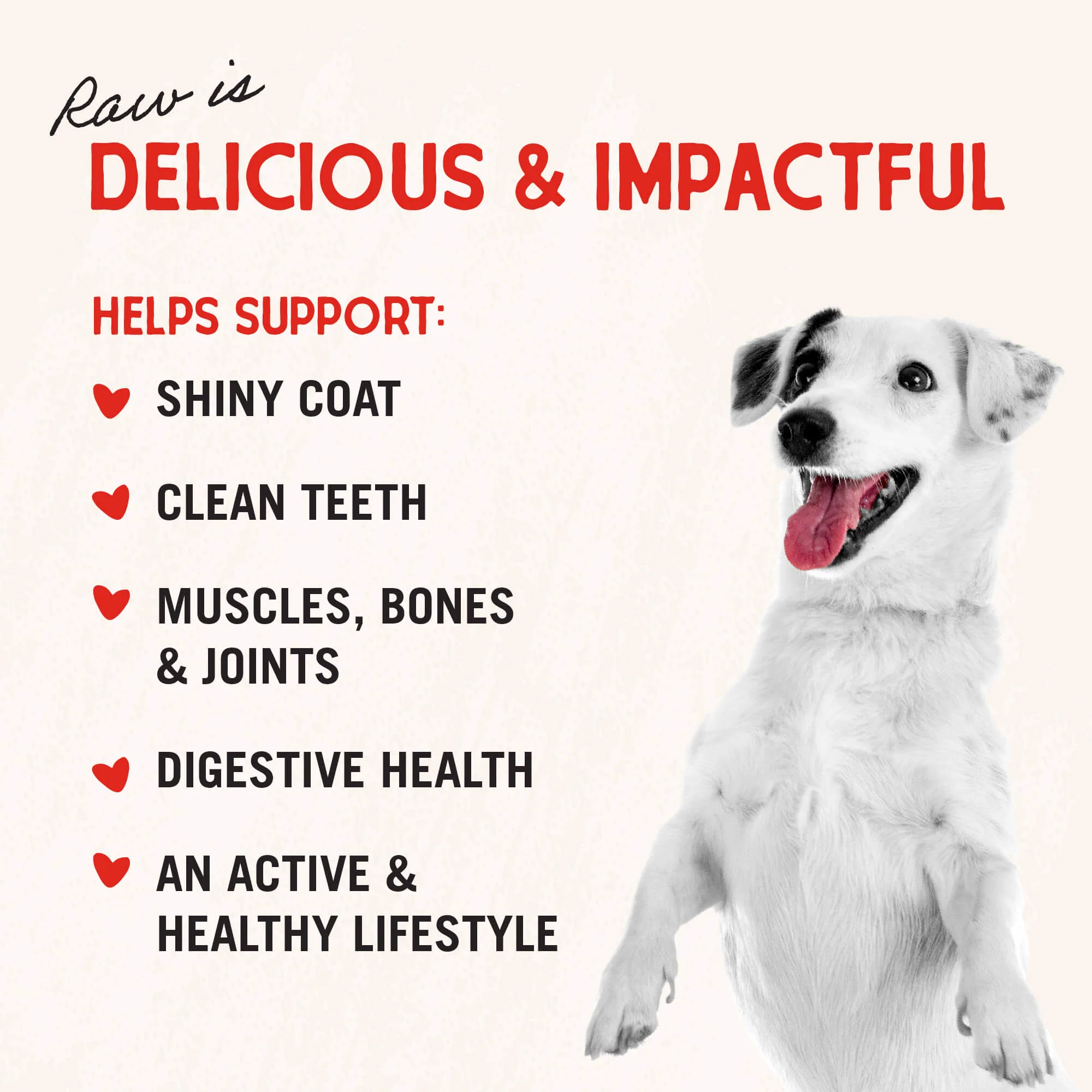 Grass-Fed Beef Raw Coated Kibble for Dogs - Image 6
