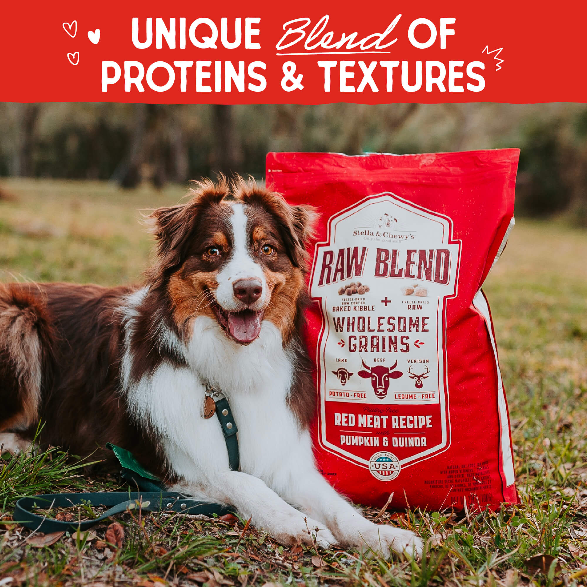 Red Meat Recipe with Pumpkin & Quinoa Raw Blend Baked Kibble with Grains for Dogs - Image 2