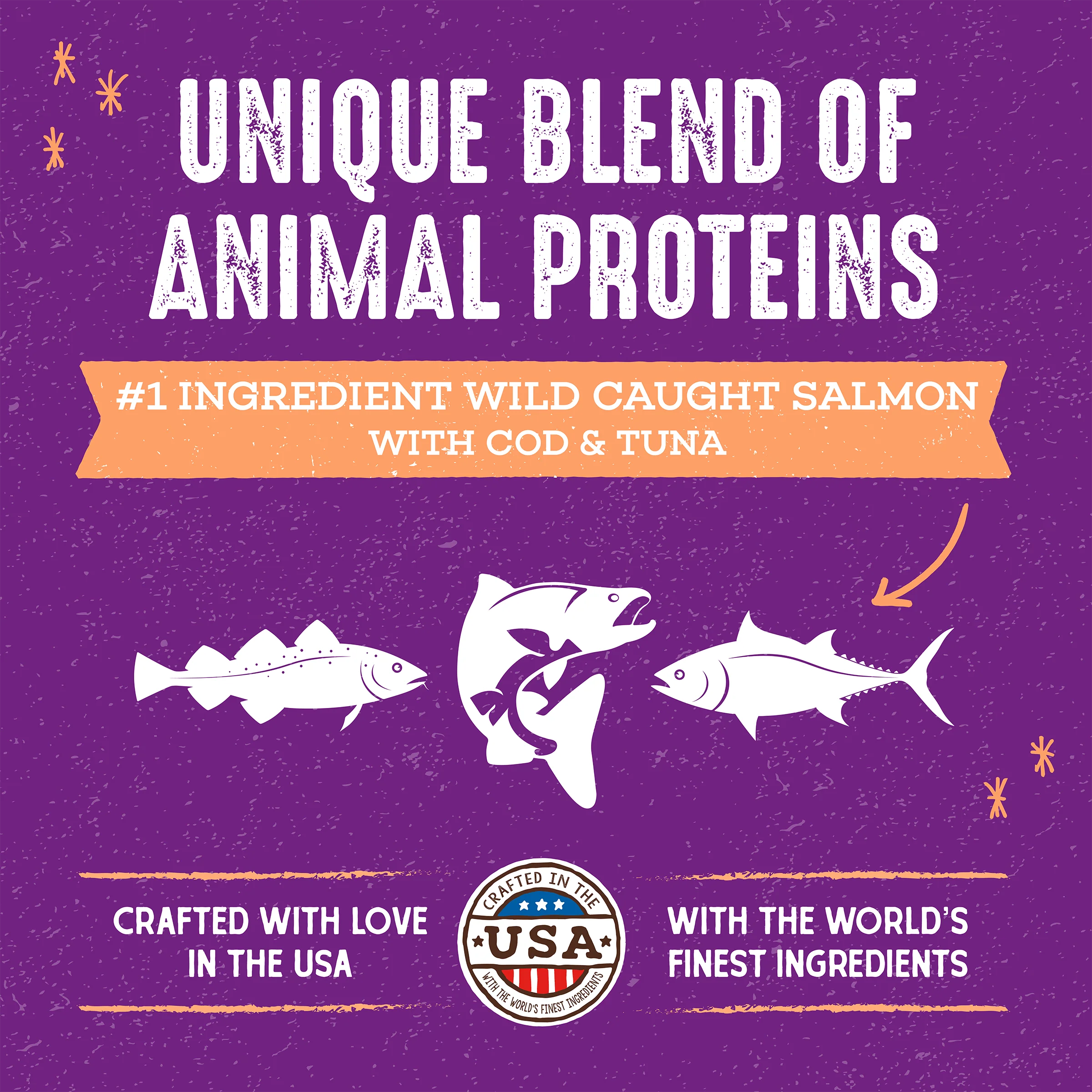 Raw Blend Kibble Wild Caught Recipe for Cats - Image 2