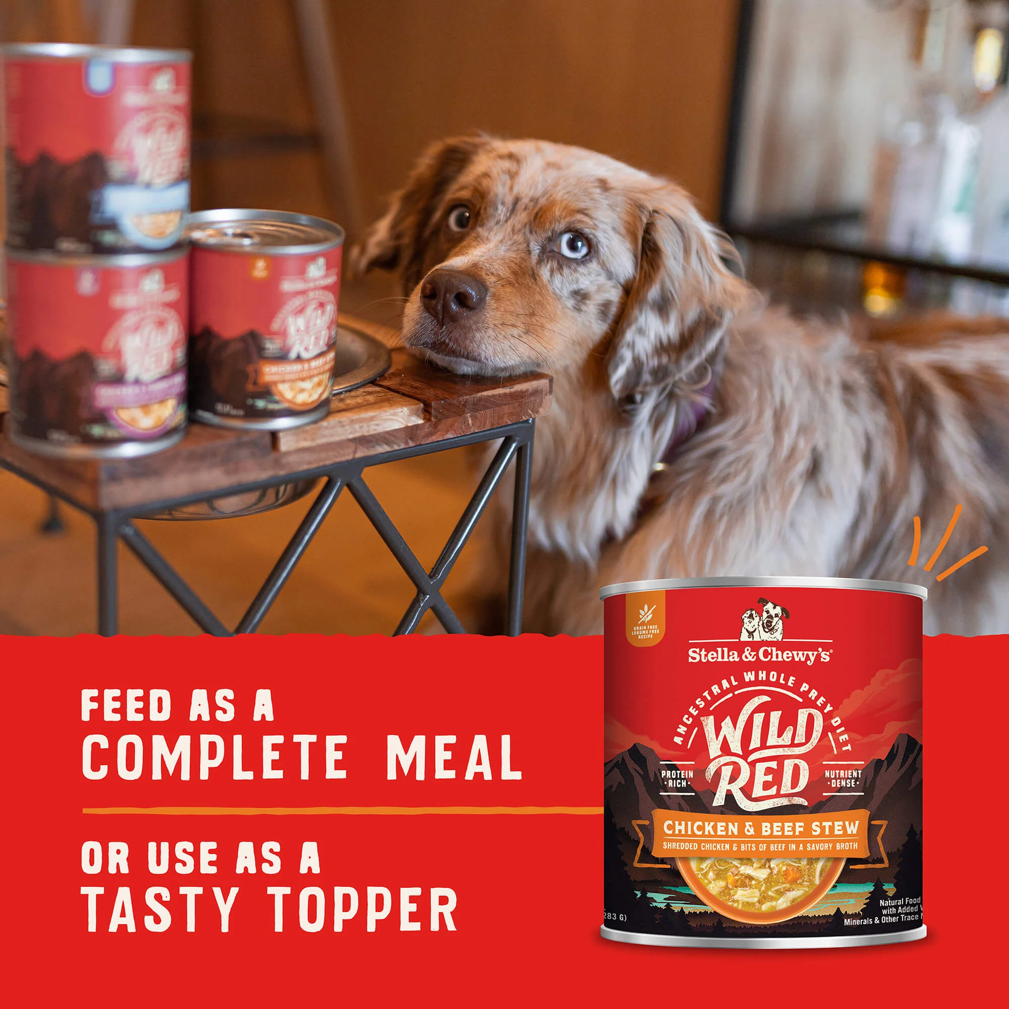Wild Red Chicken & Beef Stew for Dogs - Image 7
