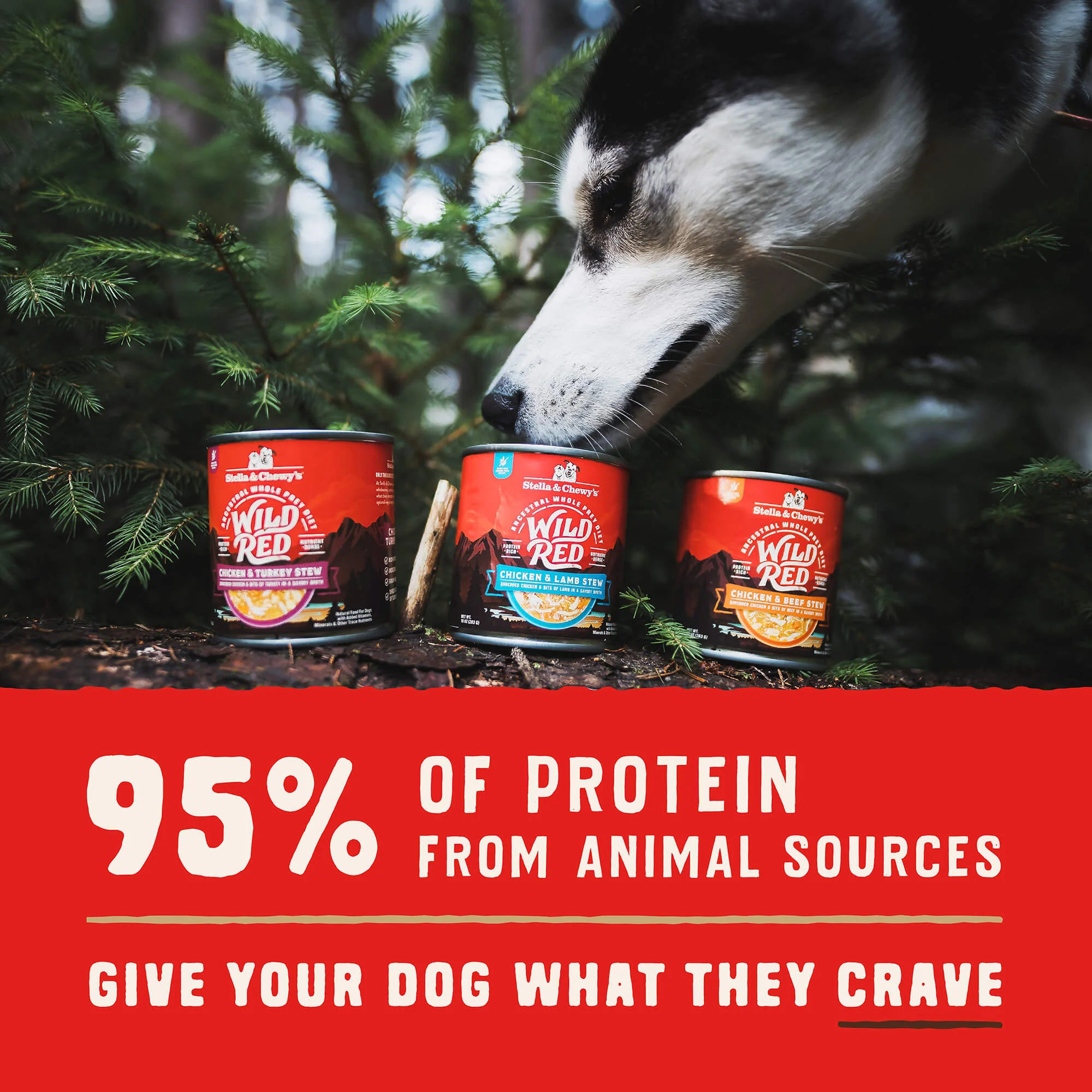 Wild Red Chicken & Lamb Stew for Dogs - Image 4