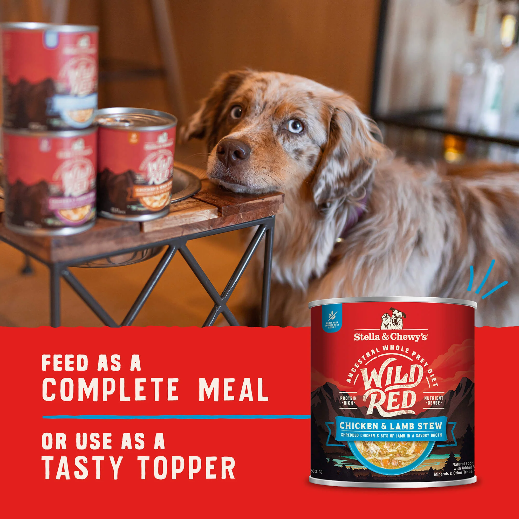 Wild Red Chicken & Lamb Stew for Dogs - Image 7