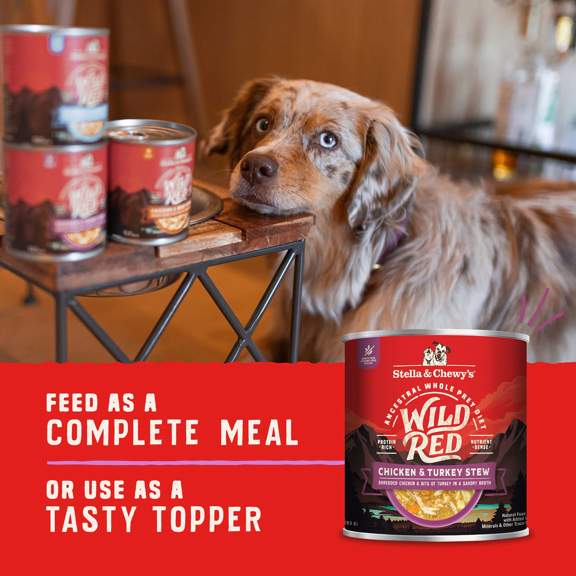 Wild Red Chicken & Turkey Stew for Dogs - Image 7