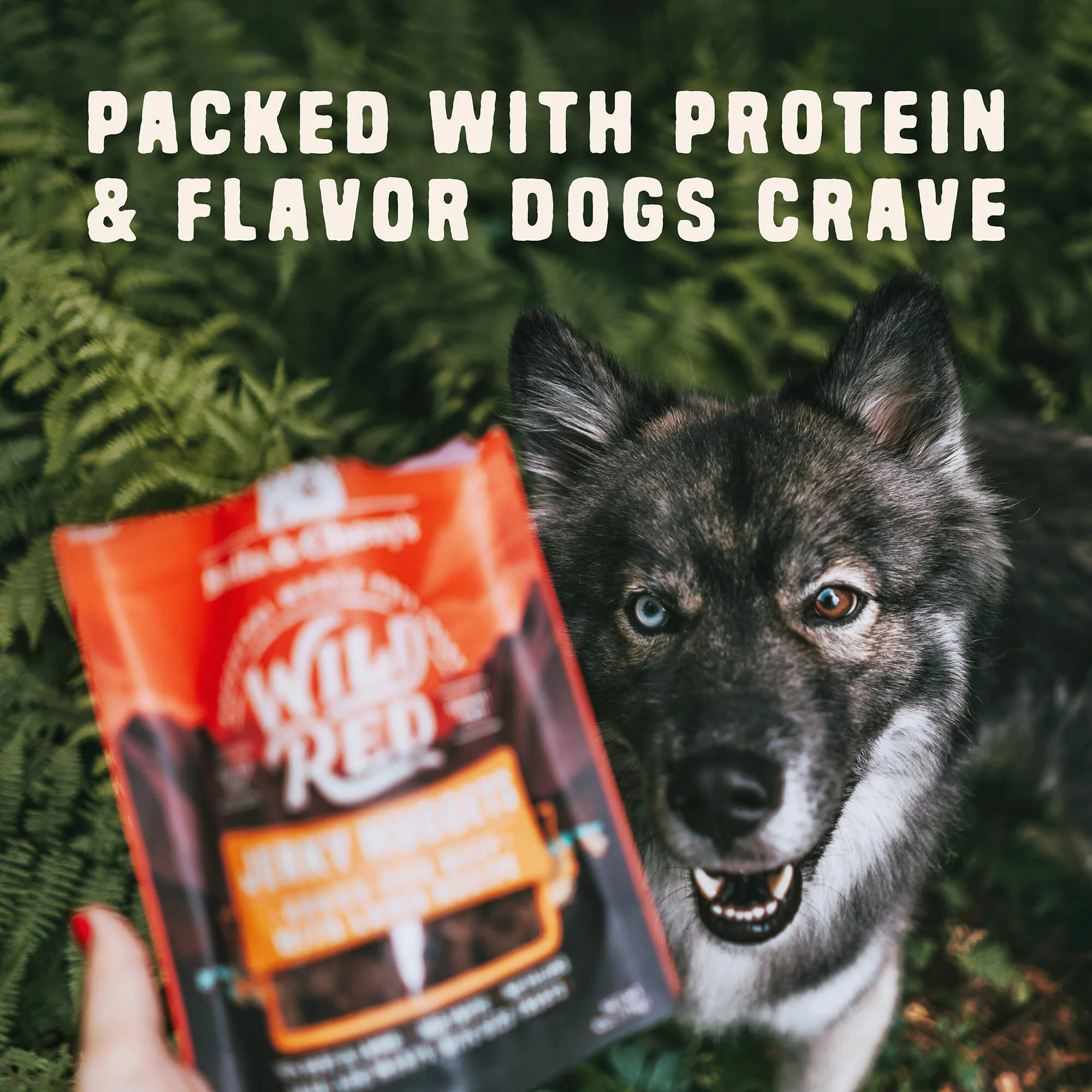 Wild Red Jerky Nuggets Chicken & Duck Recipe for Dogs - Image 5
