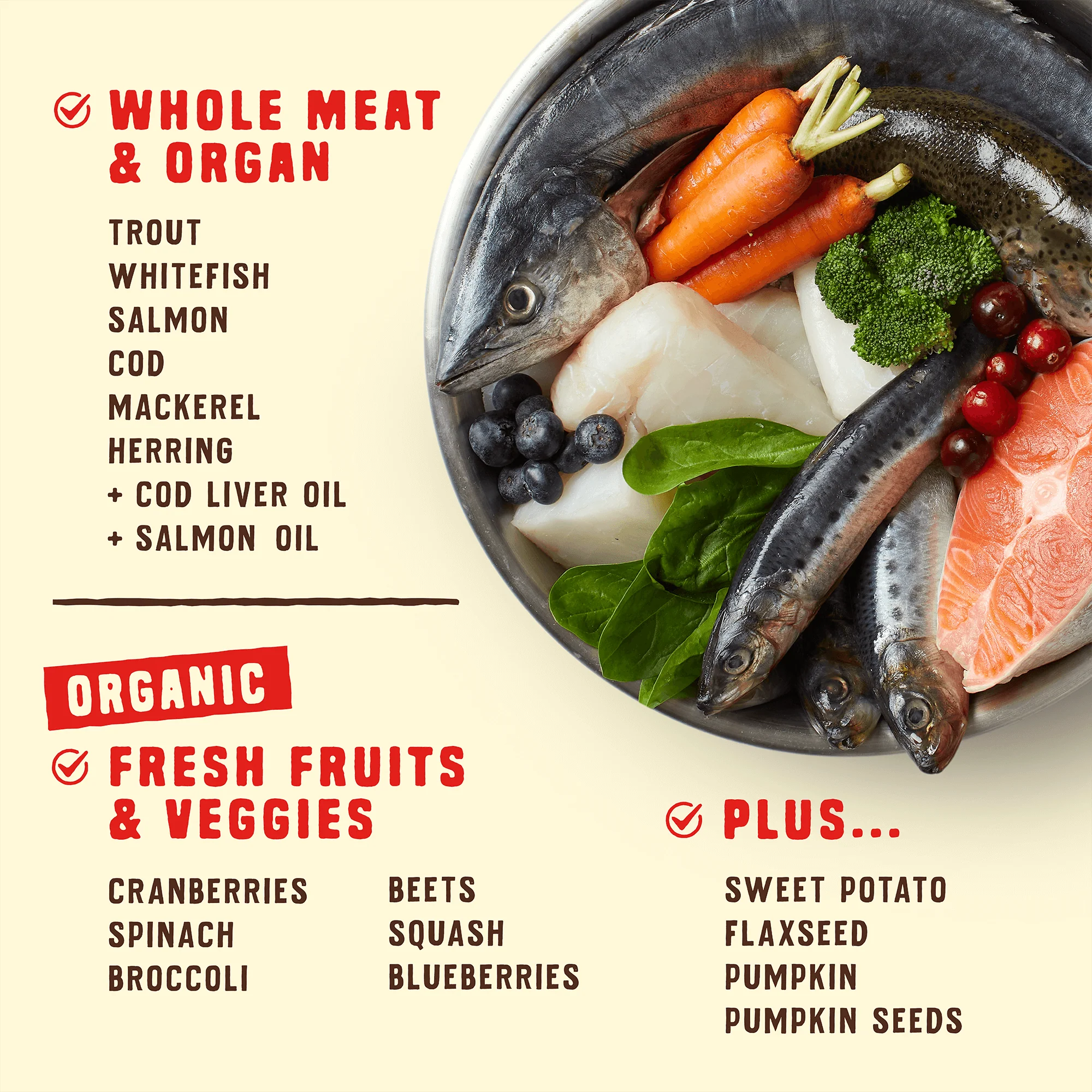 Wild Red Raw Coated Grain & Legume Free Ocean Recipe for Dogs - Image 3