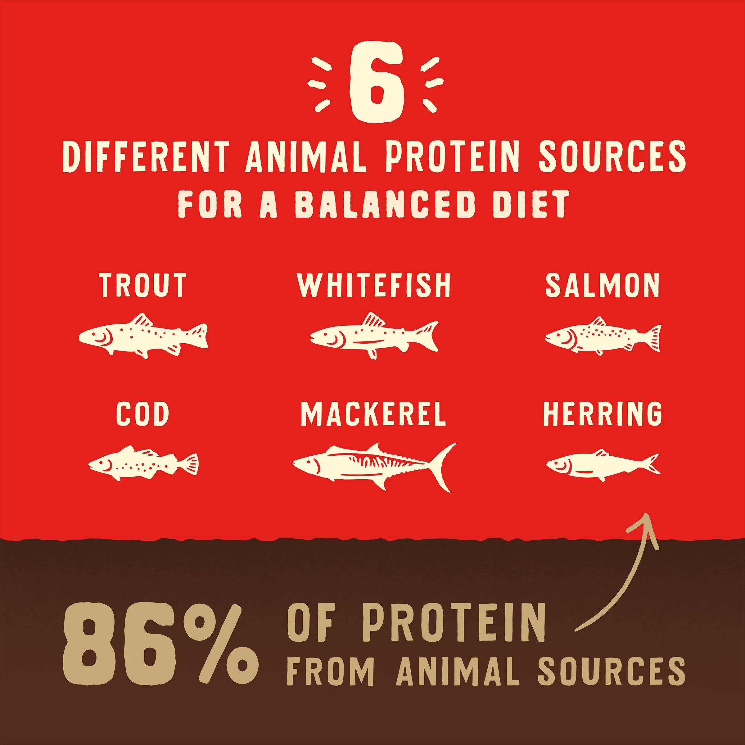 Wild Red Raw Coated Grain & Legume Free Ocean Recipe for Dogs - Image 5