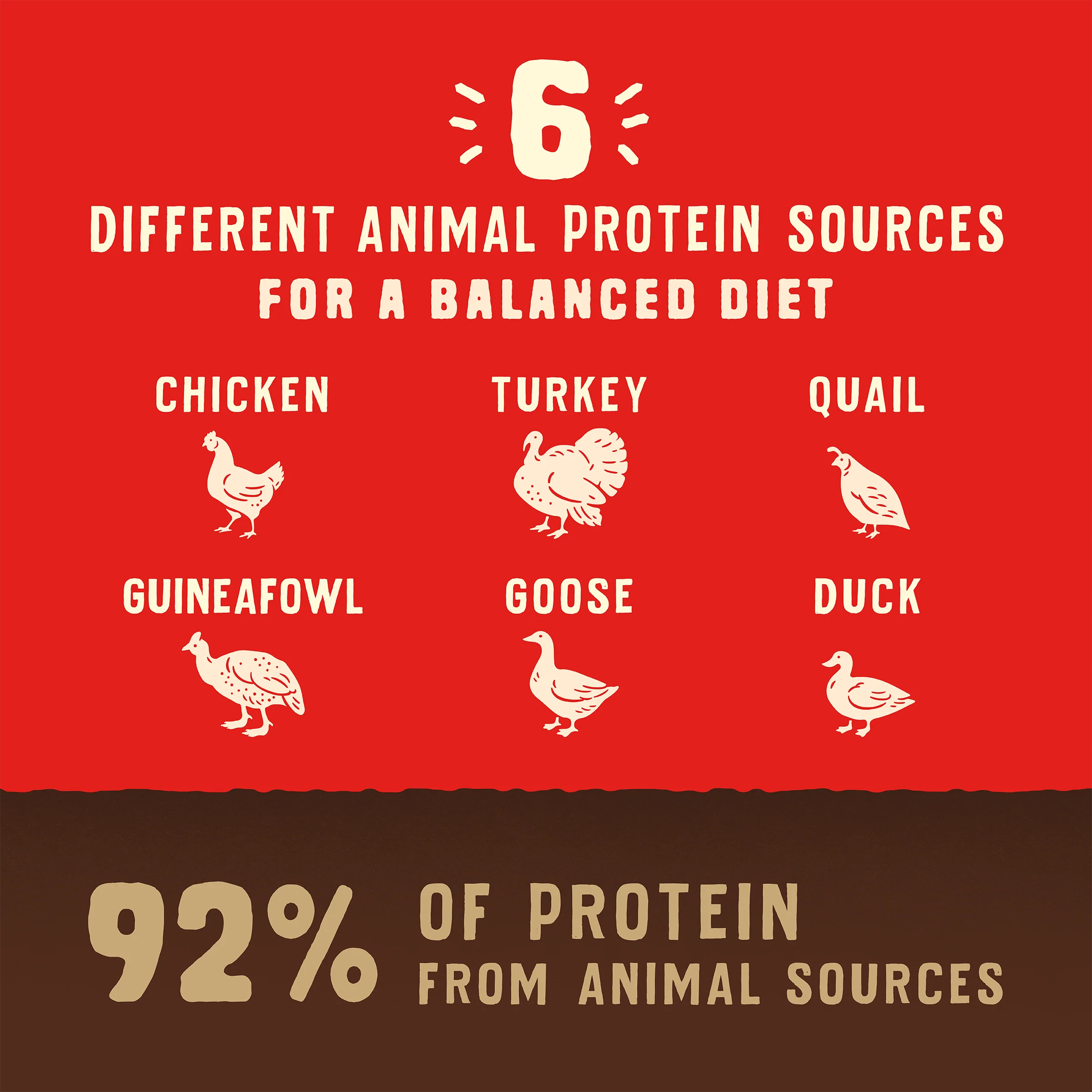 Wild Red Raw Coated Grain & Legume Free Prairie Recipe for Dogs - Image 5