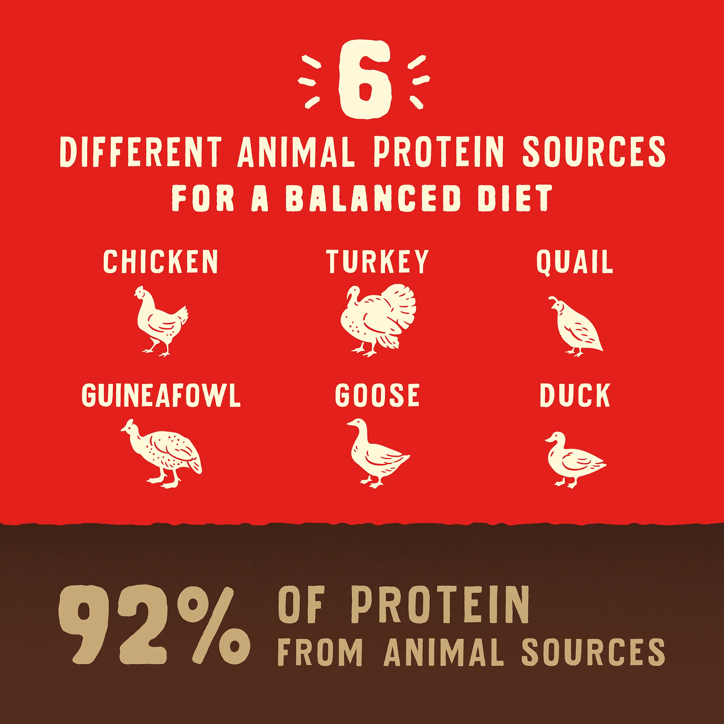 Wild Red Raw Coated Grain & Legume Free Prairie Recipe for Puppies - Image 5
