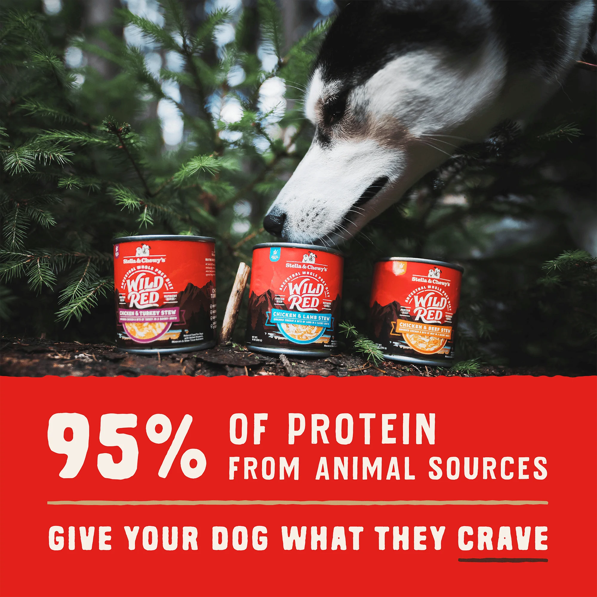 Wild Red Stew Variety Pack for Dogs - Image 4