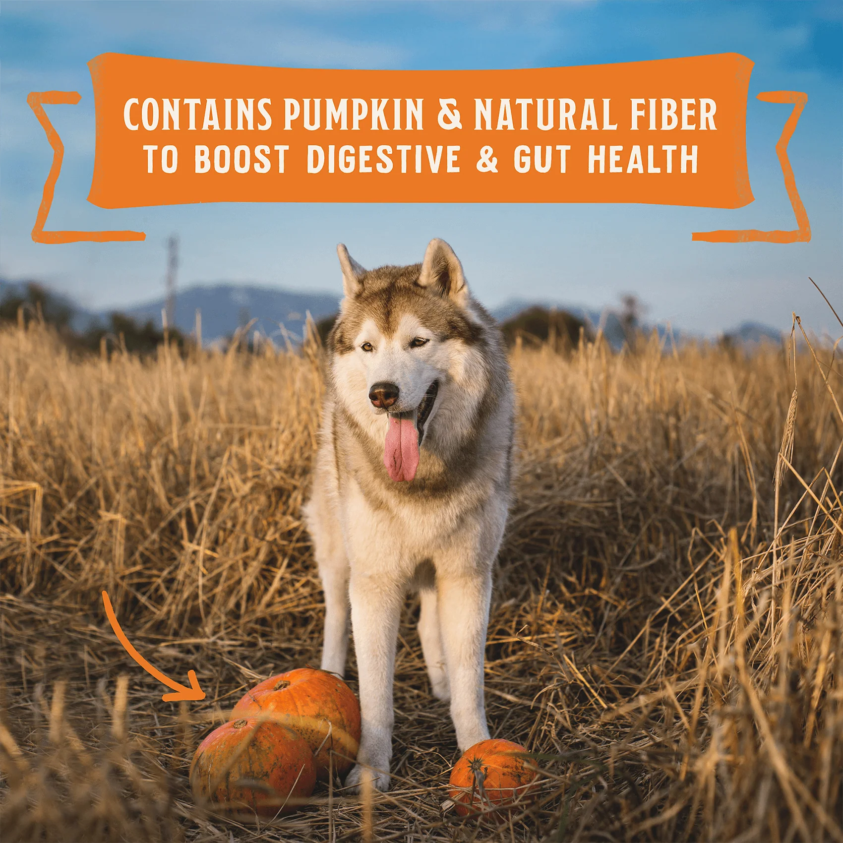 Wild Red Stew Variety Pack for Dogs - Image 6