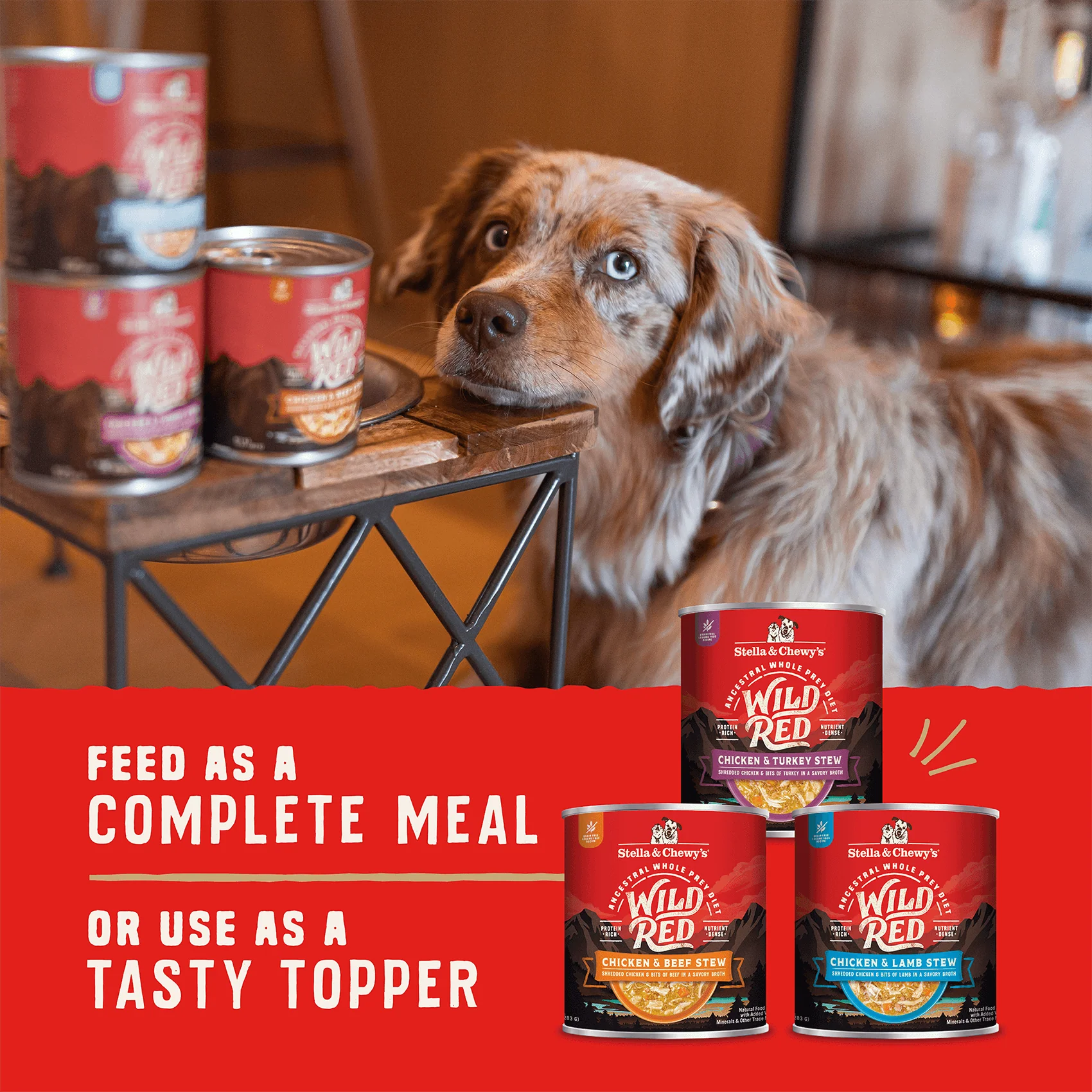 Wild Red Stew Variety Pack for Dogs - Image 7