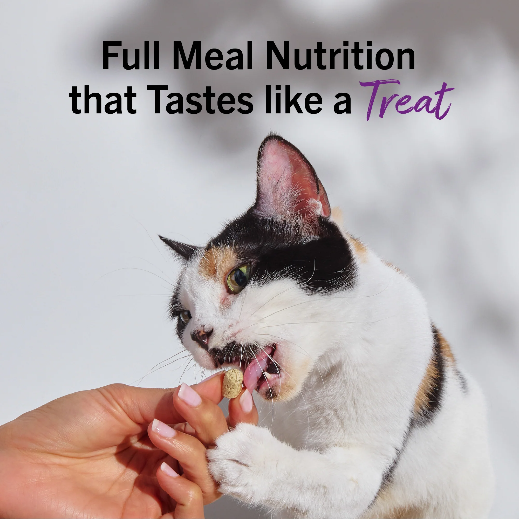 Yummy Lickin’ Salmon & Chicken Freeze-Dried Raw Dinner Morsels for Cats - Image 13
